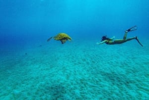 Maui : Visite semi-privée de l'Eco-Raft Lanai avec plongée en apnée et observation des dauphins