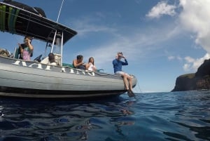 Maui : Visite semi-privée de l'Eco-Raft Lanai avec plongée en apnée et observation des dauphins