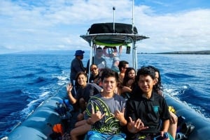 Maui : Visite semi-privée de l'Eco-Raft Lanai avec plongée en apnée et observation des dauphins