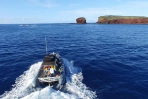 Maui : Visite semi-privée de l'Eco-Raft Lanai avec plongée en apnée et observation des dauphins