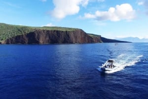 Maui : Visite semi-privée de l'Eco-Raft Lanai avec plongée en apnée et observation des dauphins