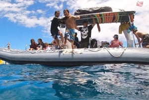 Maui : Visite semi-privée de l'Eco-Raft Lanai avec plongée en apnée et observation des dauphins