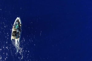 Maui : Visite semi-privée de l'Eco-Raft Lanai avec plongée en apnée et observation des dauphins