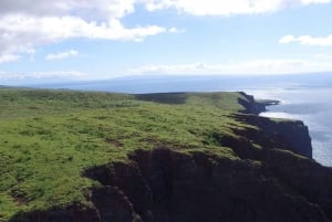 Maui : Visite semi-privée de l'Eco-Raft Lanai avec plongée en apnée et observation des dauphins