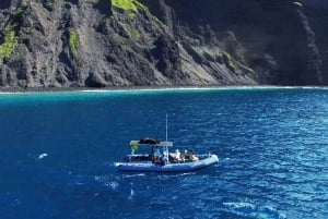 Maui : Visite semi-privée de l'Eco-Raft Lanai avec plongée en apnée et observation des dauphins