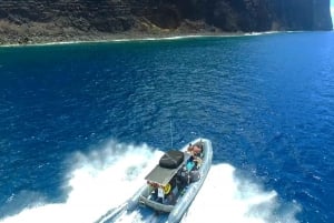 Maui : Visite semi-privée de l'Eco-Raft Lanai avec plongée en apnée et observation des dauphins