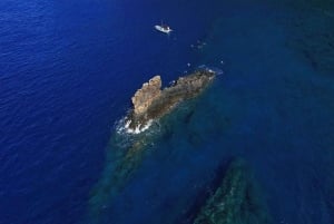 Maui : Visite semi-privée de l'Eco-Raft Lanai avec plongée en apnée et observation des dauphins