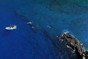 Maui : Visite semi-privée de l'Eco-Raft Lanai avec plongée en apnée et observation des dauphins