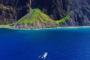 Maui : Visite semi-privée de l'Eco-Raft Lanai avec plongée en apnée et observation des dauphins