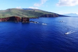 Maui : Visite semi-privée de l'Eco-Raft Lanai avec plongée en apnée et observation des dauphins