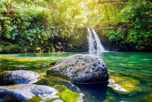 Maui: Small-Group Road to Hāna Sightseeing Tour