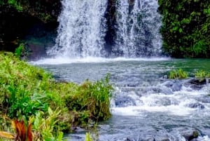 Maui : Visite touristique en petit groupe de la route de Hāna