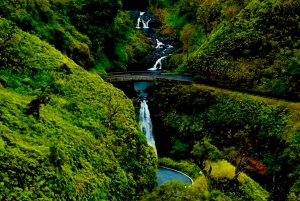 Maui: Sightseeingtur på vejen til Hāna i lille gruppe