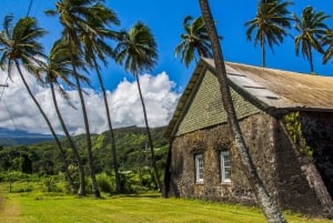 Maui: Excursão turística em grupo pequeno de Road to Hāna