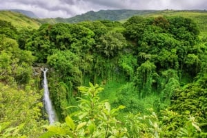 Maui : Visite touristique en petit groupe de la route de Hāna
