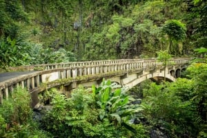 Maui: Recorrido turístico en grupo reducido por la carretera de Hāna