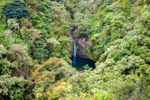 Maui: Sightseeingtur på vejen til Hāna i lille gruppe