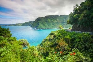 Maui: Sightseeingtur i liten gruppe på veien til Hāna