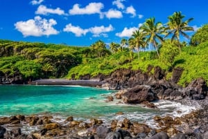 Maui: Sightseeingtur i liten gruppe på veien til Hāna