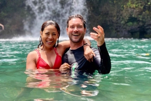 Maui: Small Group Road to Hana Tour With a Local