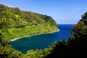 Maui: Small Group Road to Hana Tour With a Local