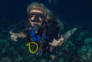 Maui: Duiken met een kleine groep haaien en schildpadden vanaf de kust