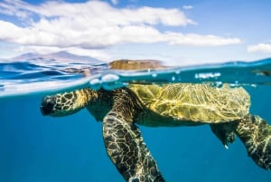 Maui: Snorkel and Sunset Sail with Water Slide
