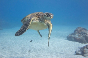 Maui: Nurkowanie z rurką i rejs o zachodzie słońca ze zjeżdżalnią wodną