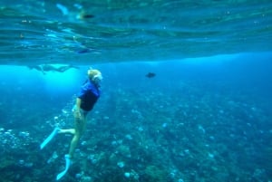 Snorkeling e scivolo a Maui dalle 13:00 alle 16:00