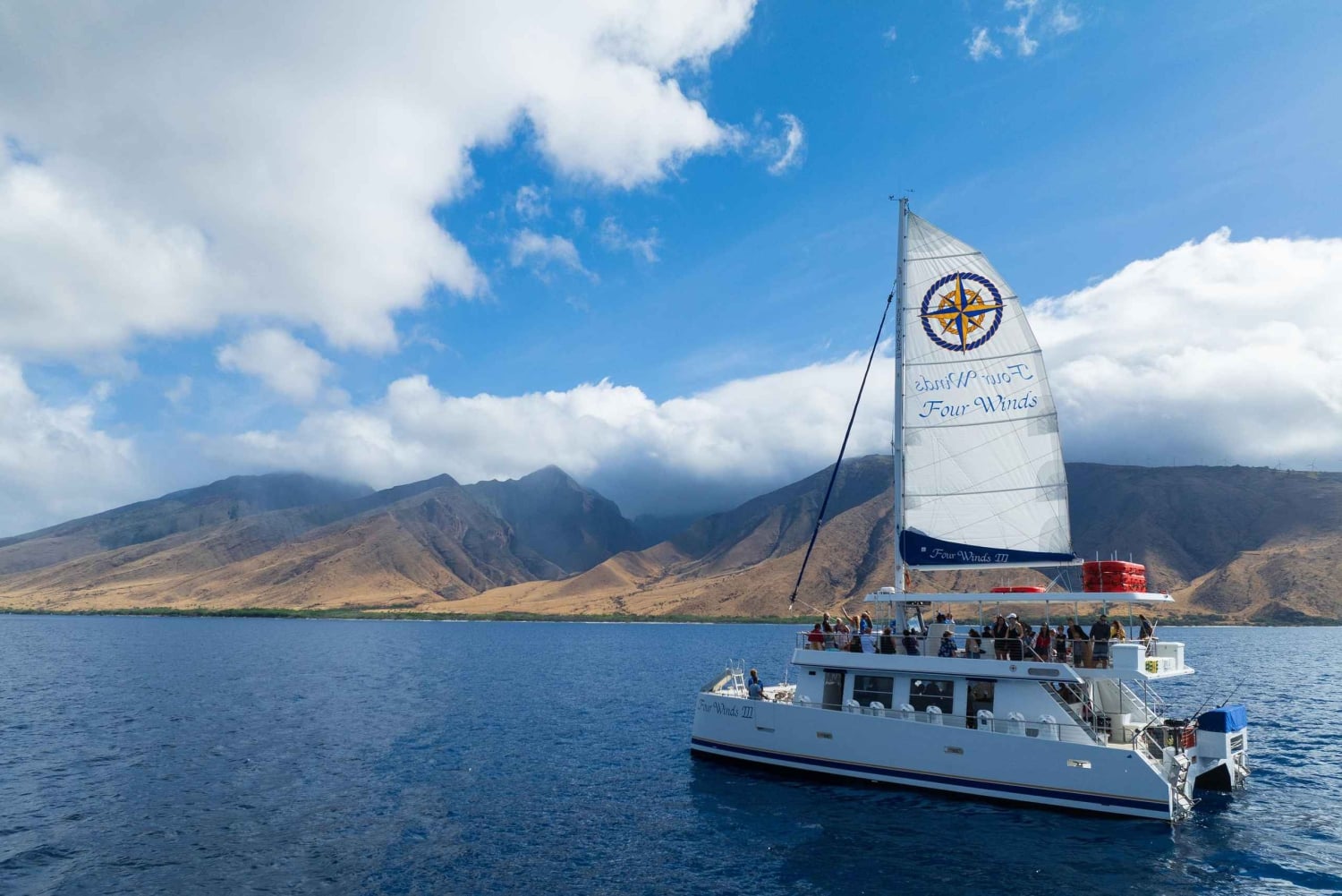 Maui: Snorkkelikierros korallipuutarhaan