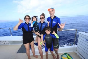 Maui: Snorkeltur til korallhavene