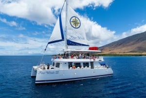 Maui: Snorkeltur til korallhavene