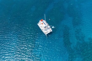Maui: Snorkeltur til korallhavene