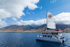 Maui: Snorkkelikierros korallipuutarhaan