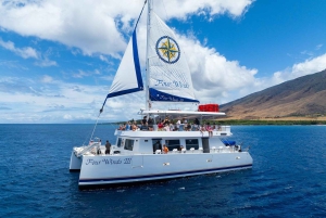 Maui: Snorkkelikierros korallipuutarhaan