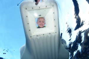 Maui: Snorkkelikierros korallipuutarhaan