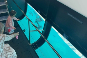 Maui: Snorkkelikierros korallipuutarhaan