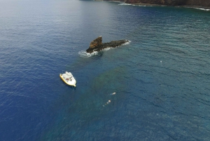 Maui: Snorkeling and Dolphin Sightseeing to Lana'i Island