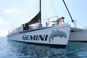 Maui: Snorklings- och seglingsäventyr med buffélunch