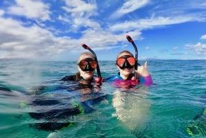 South Maui: Snorkeling Tour for Non-Swimmers in Kihei
