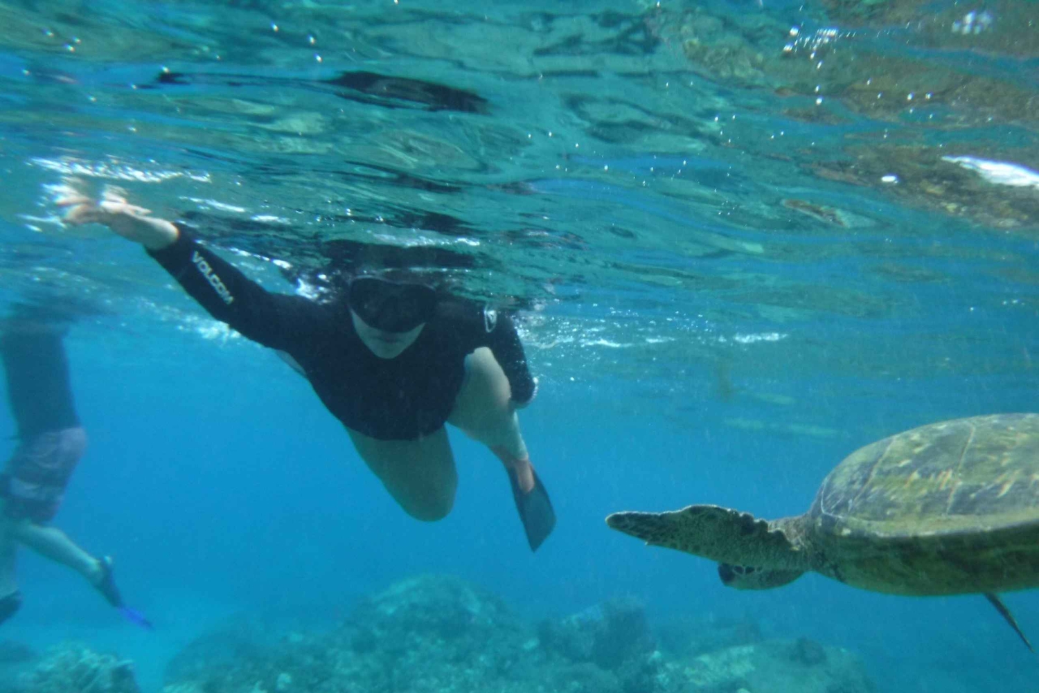 Maui: tour di snorkeling con attrezzatura e istruttore