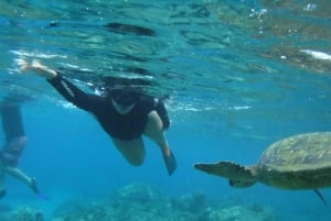 Maui: Snorkeling Tour with Gear and Instructor