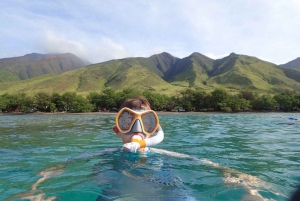 Maui: tour di snorkeling con attrezzatura e istruttore