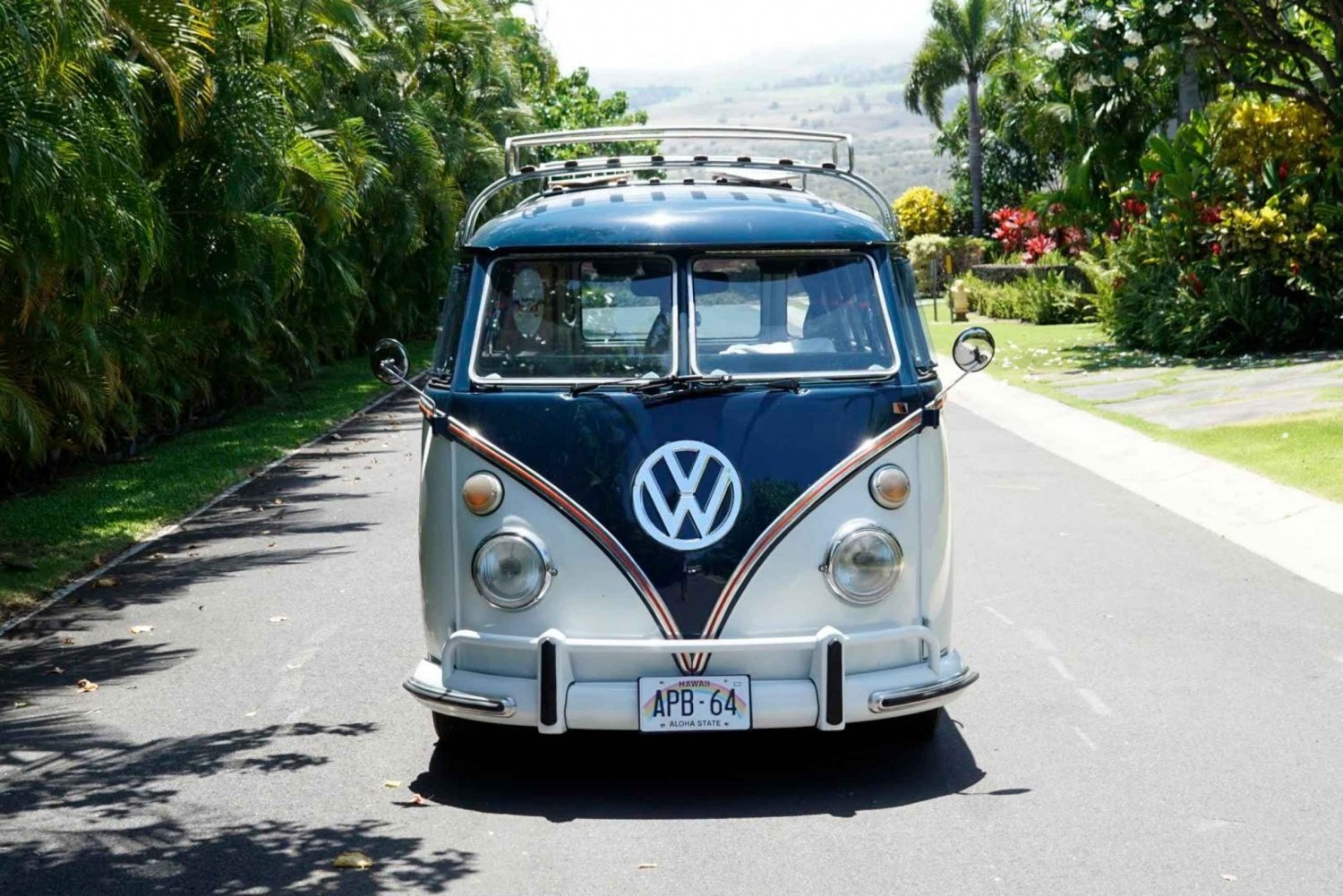 Maui: South Maui VW Bus Tour with Brewery Lunch