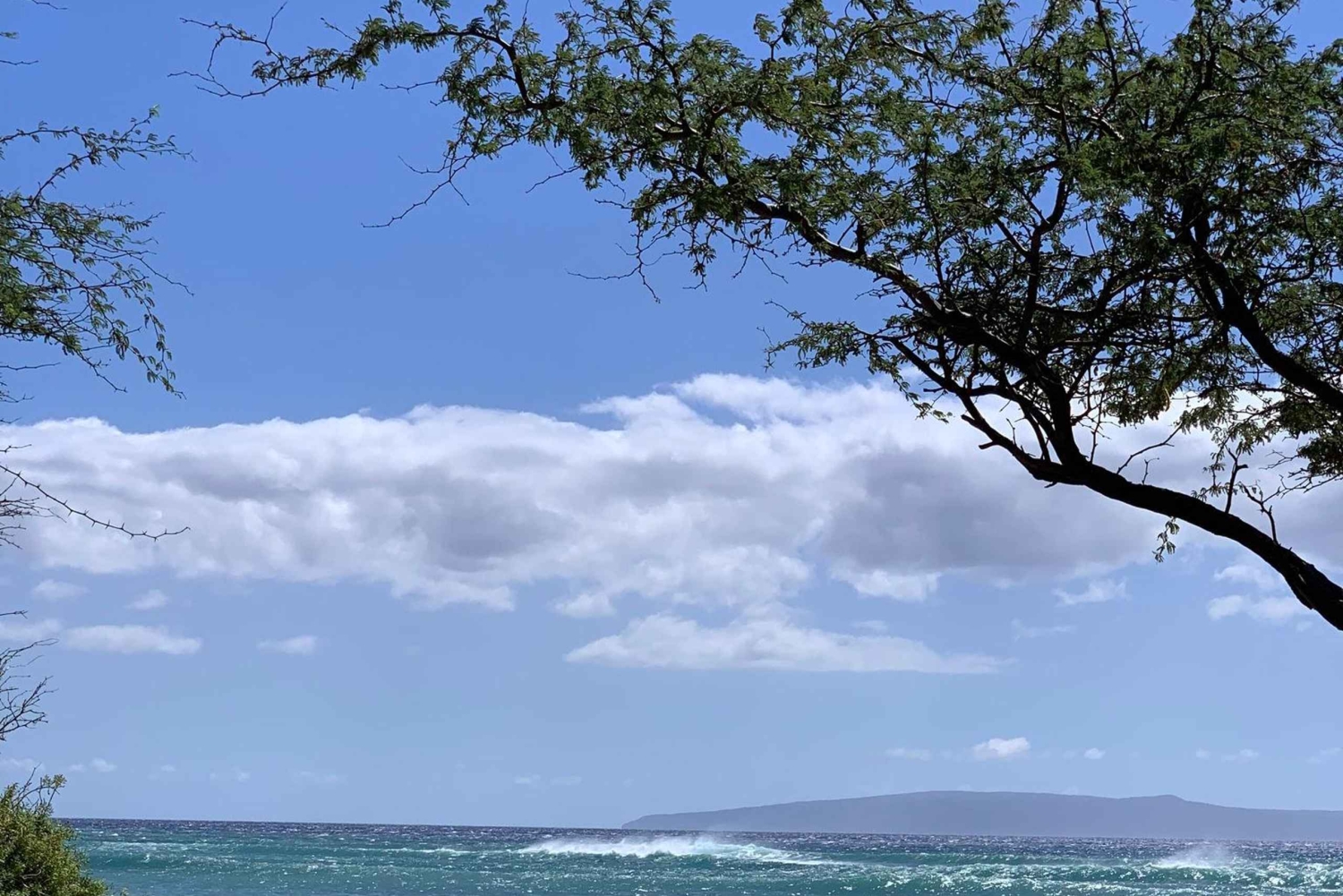 Maui: Hyr en SUP-bräda