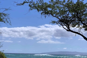 Maui: Hyr en SUP-bräda