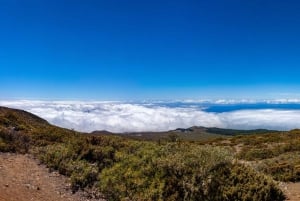 Maui: Sunrise Self-Guided Driving Tour