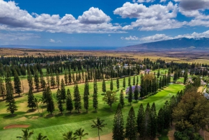 Maui: Sunrise Self-Guided Driving Tour