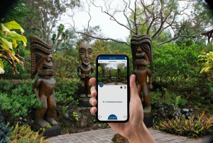 Maui: Sunrise Self-Guided Driving Tour