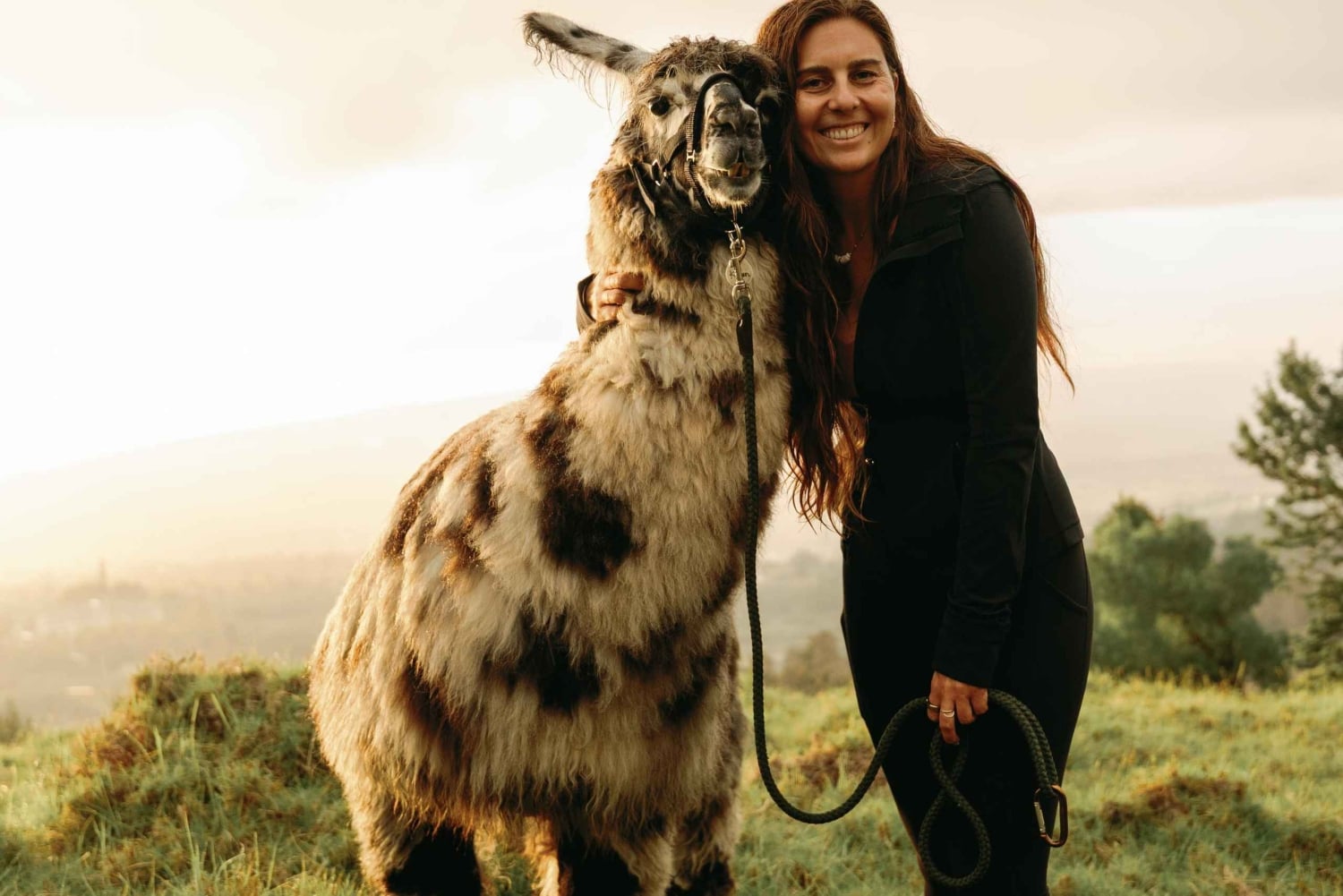 Maui: trekking con i lama al tramonto sull'Haleakalā